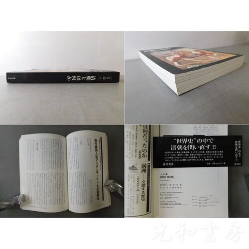  清朝とは何か　別冊 環 16